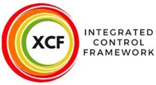 XCF Consulting
