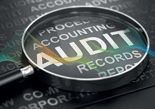 Internal Audit Management Product Overview