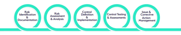 RCSA_process