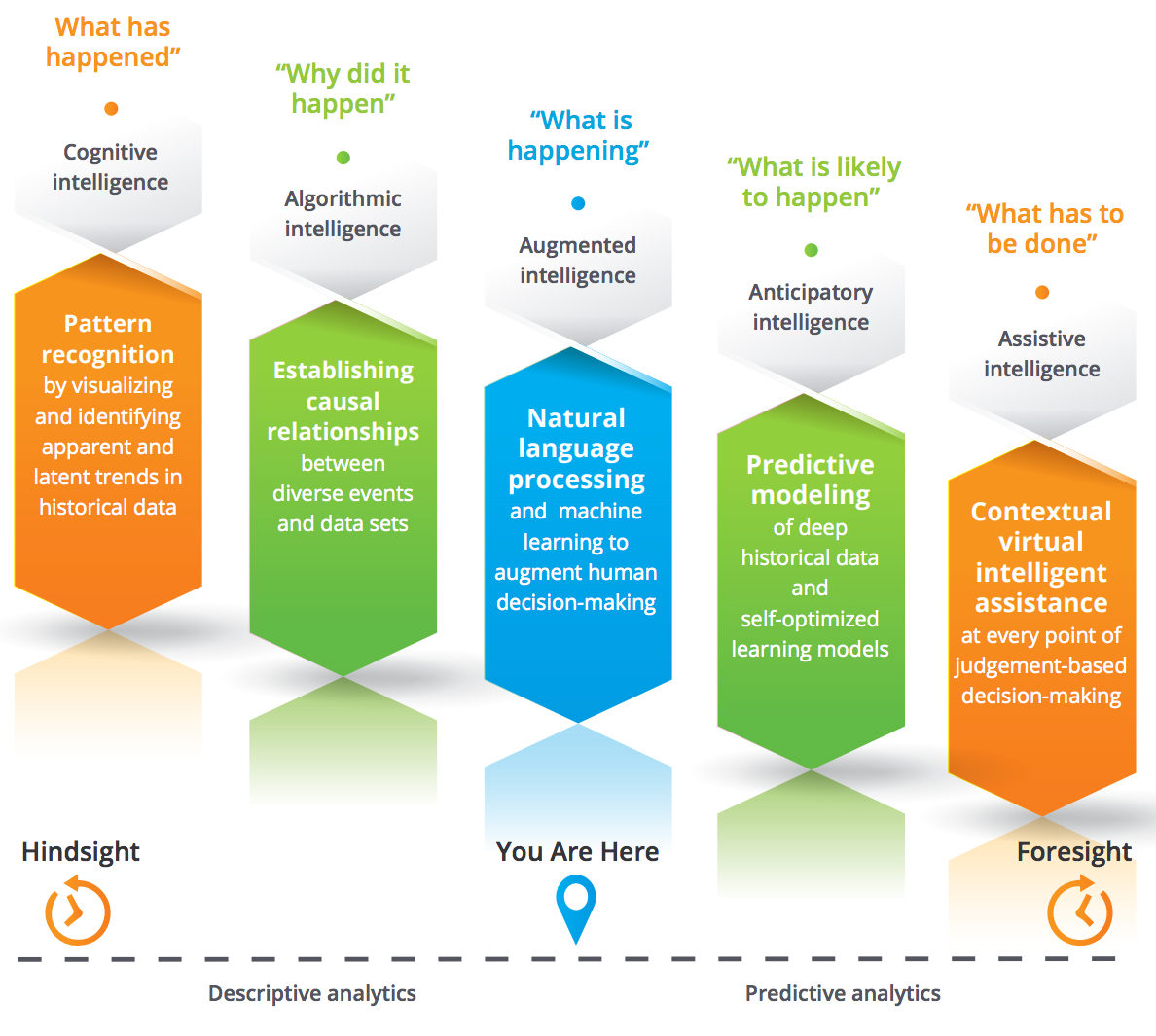 Evolution of Risk Intelligence