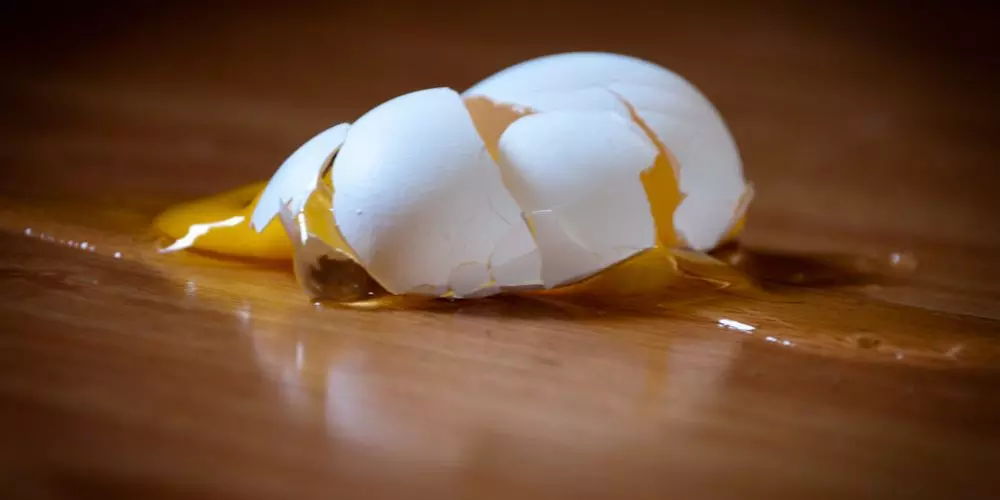 egg