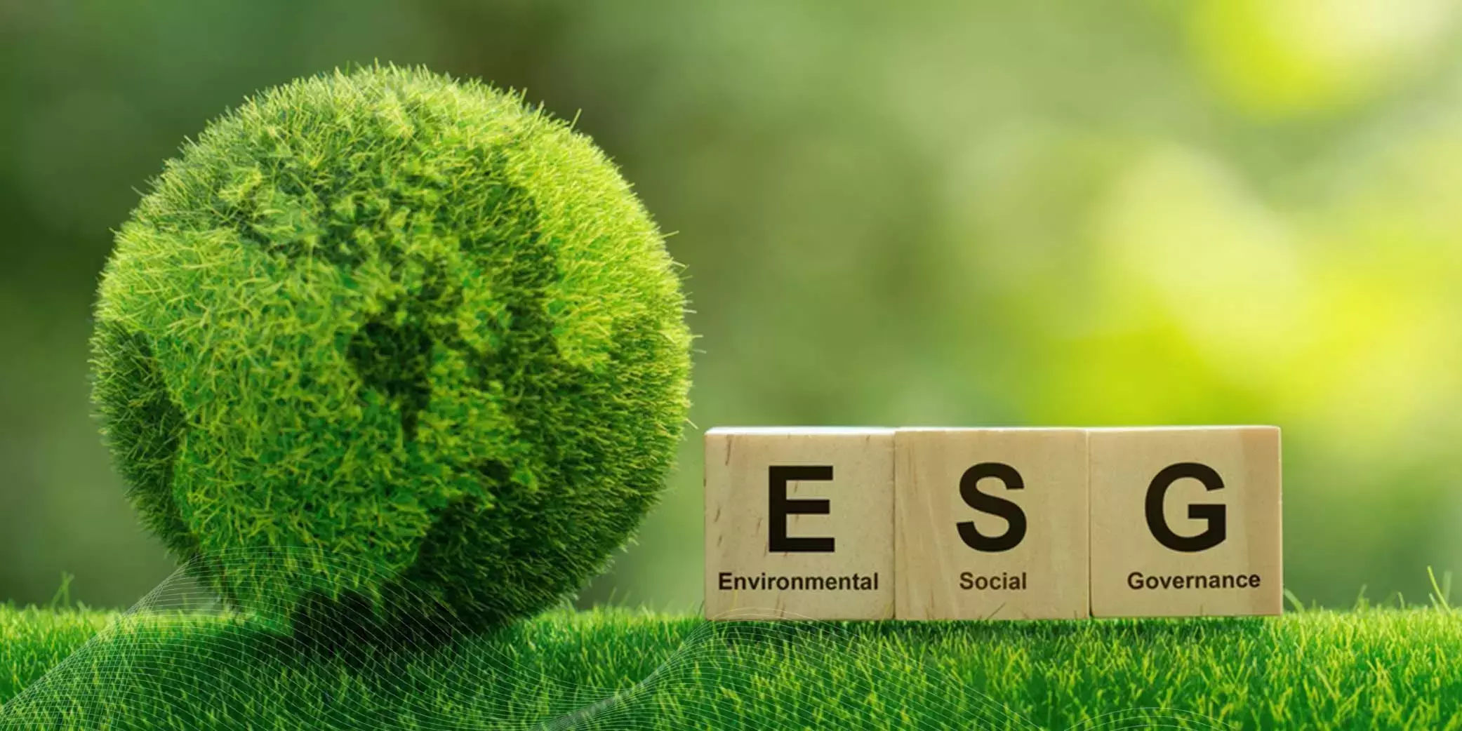 The Difference Between CSR and ESG – A Matter of Measurability and Accountability