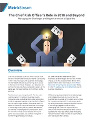 What are the roles and responsibilities of a chief risk officer